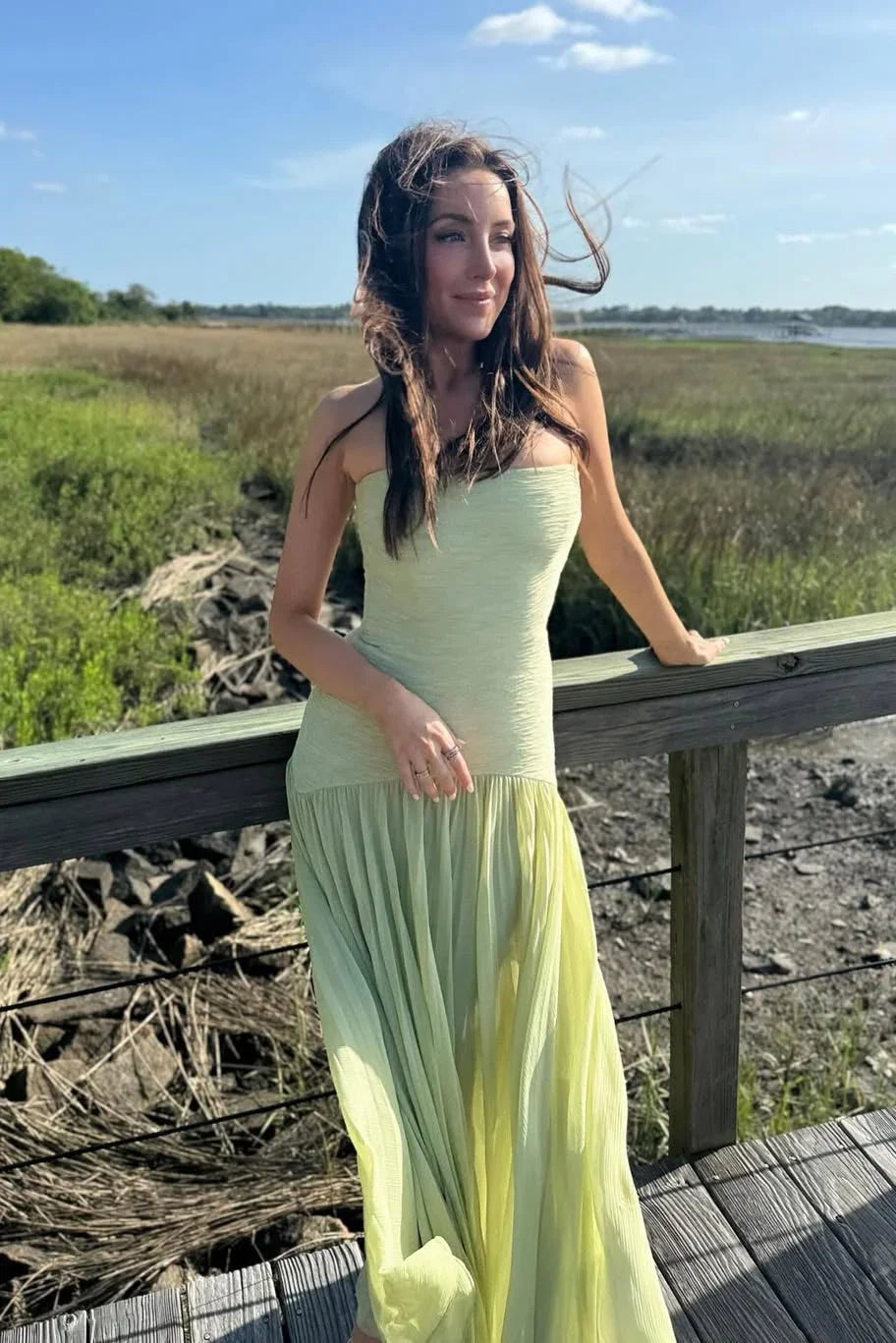 Elowen | Women's Pleated V-Neck Maxi Dress